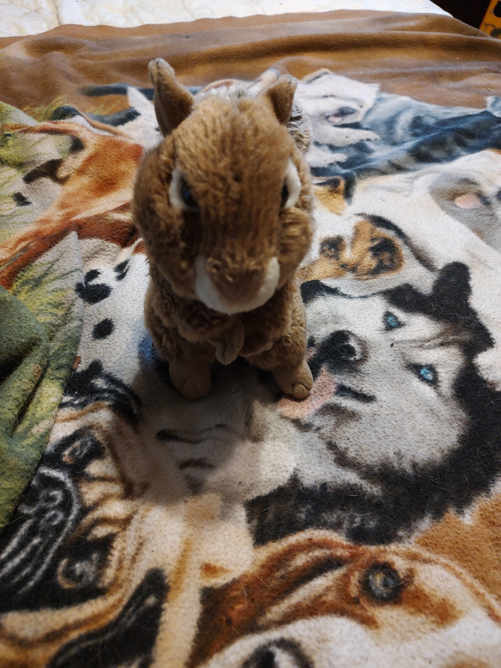 Plush Small Pets Brown Bunny Stuffed Animal